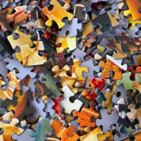E-commerce B2B > La barre de recherche OroCommerce